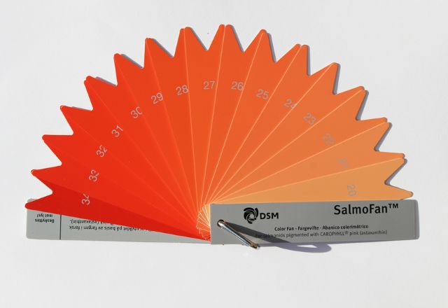 A photo of SalmoFan™ color measurement scale