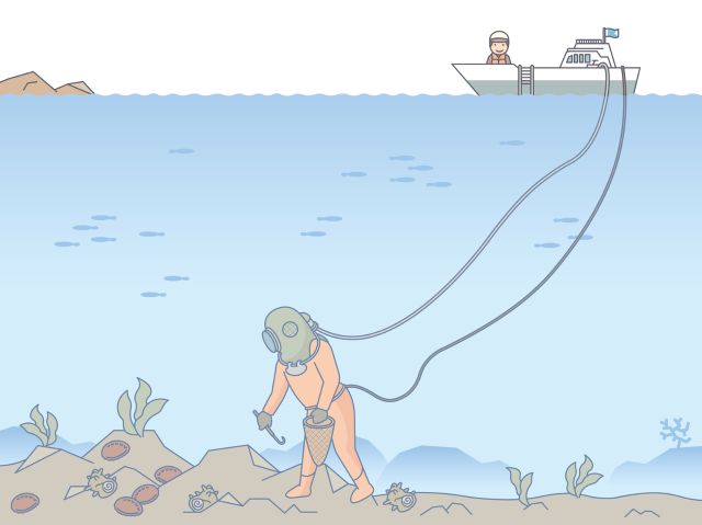An Illustration of Diving fishing