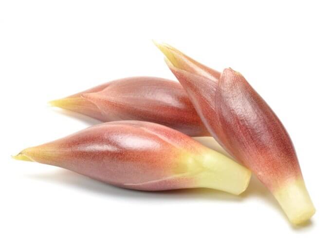 A photo of Myoga