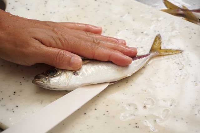 a photo of Fish preparation
