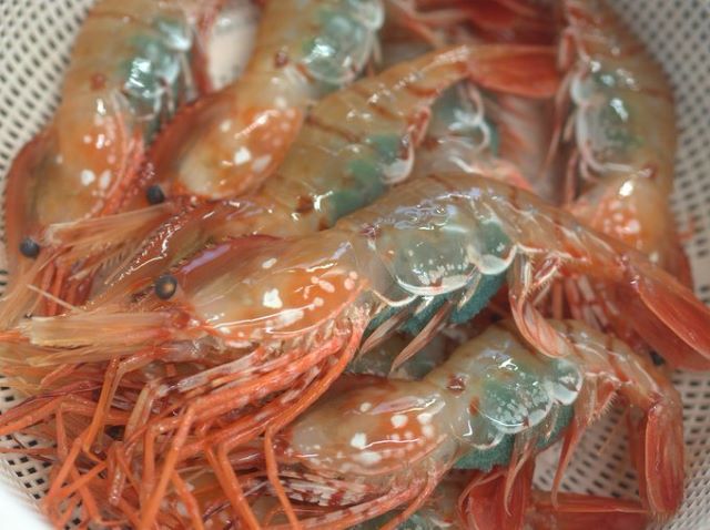 a photo of Botan shrimp (Toyamaebi)