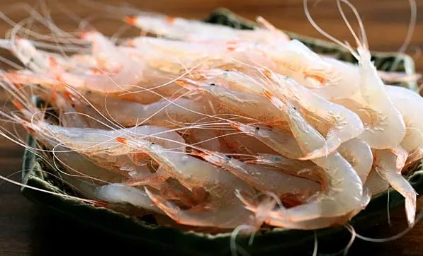 a photo of Broad velvet shrimp (Shiroebi)