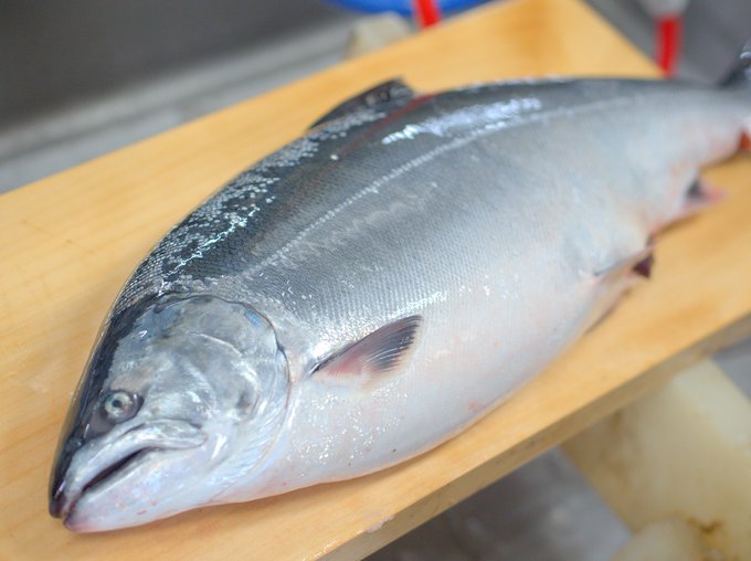 a photo of Cherry salmon (Sakuramasu)
