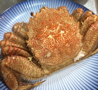 a photo of Horsehair crab (Kegani)