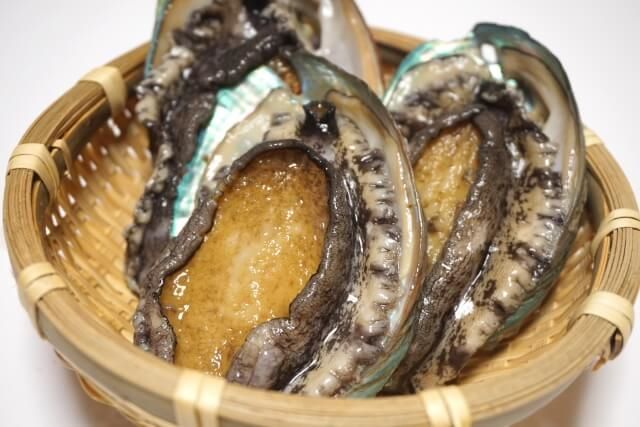 a photo of Japanese abalone (Kuro-awabi)