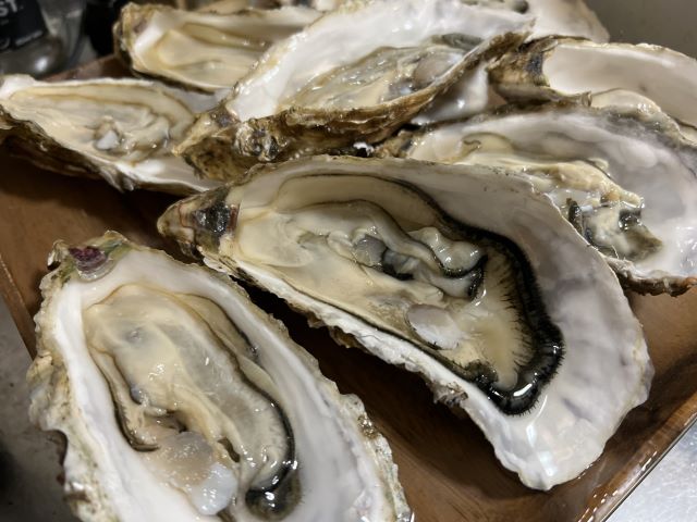 a photo of Japanese oyster (Kaki or Magaki)