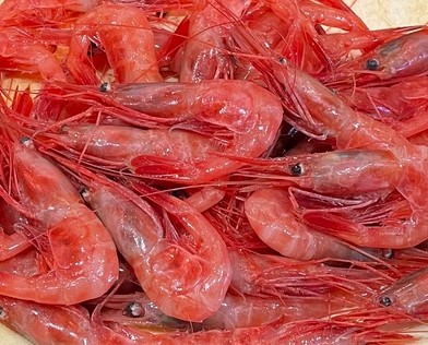 a photo of Sweet shrimp (Amaebi)