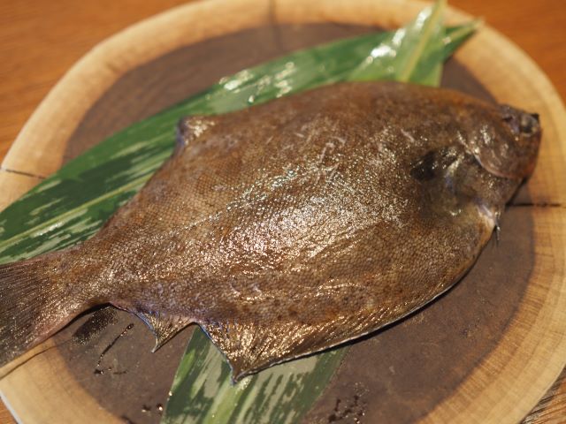 a photo of Finespotted flounder (Meitagarei)