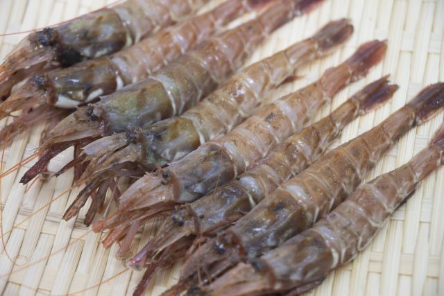 a photo of Mosa shrimp (Gasuebi)