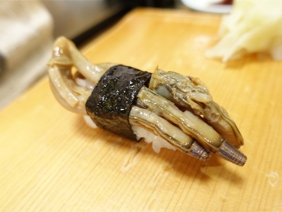 A photo of mategai nigiri sushi