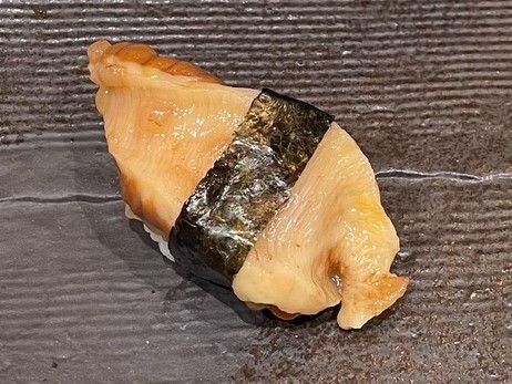 A photo of Sea squirt (Hoya) nigiri