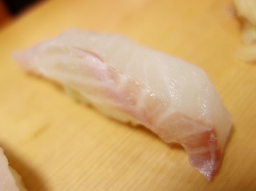 A photo of Short Barbeled Velvetchin (Higesoridai) nigiri