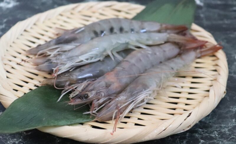 a photo of Whiteleg shrimp (Vannamei ebi)
