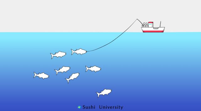 An illustration of Pole-and-line fishing