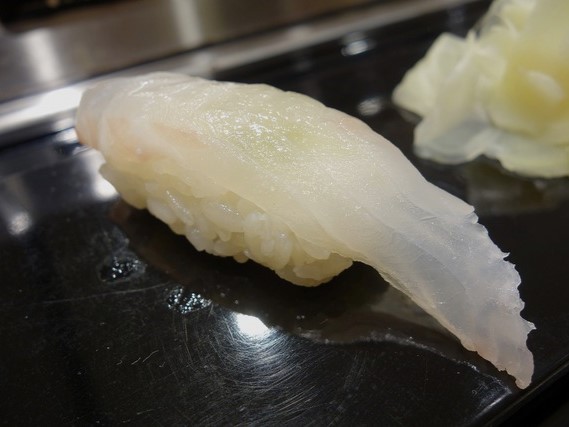 A photo of Areolate grouper (Oomonhata) nigiri