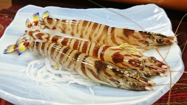 A photo of Kuruma prawn (Kuruma ebi)