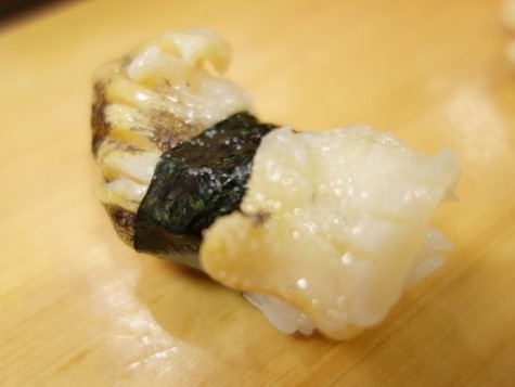 A photo of Whelk (Himeezobora) nigiri