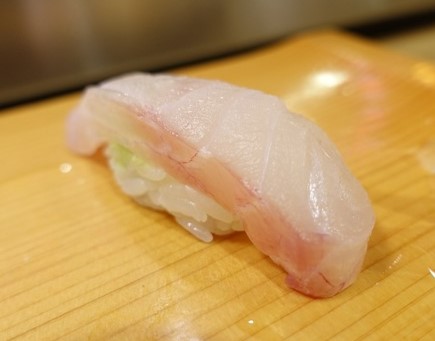 A photo of Highfin grouper (Shirobuchihata) nigiri