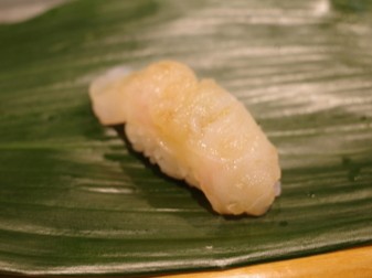 A photo of Hairy stingfish (Onikasago) nigiri