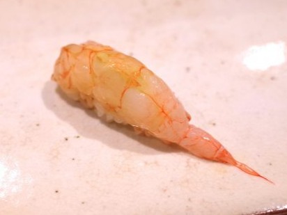 A photo of Razor mud shrimp (Namikudahigeebi) nigiri