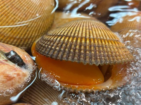 A photo of Zarugai