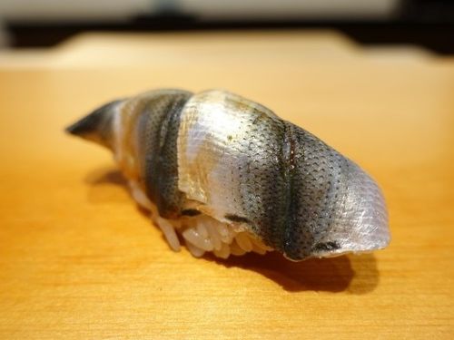 A photo of Gizzard shad (Kohada)