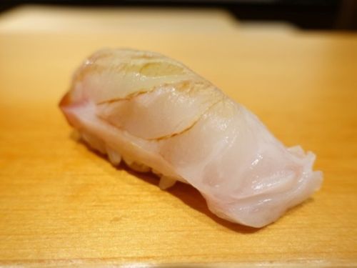 A photo of Longtooth grouper (Kue)