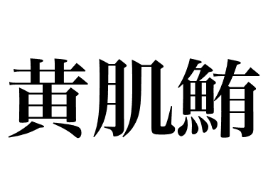 黄鳍金枪鱼 (Kihada maguro)
