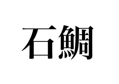 石鲷鱼 (Ishidai)