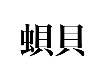 Babylonia japonica (Bai)