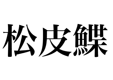 条斑星鲽 (Matsukawagarei)
