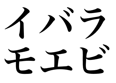 Crevette du Groenland (Ibaramo ebi)