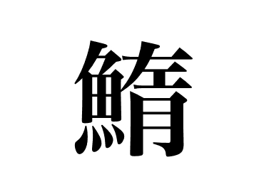 Yellow-striped butterfish (Takabe)