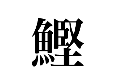Tonnetto striato (Katsuo)