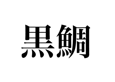 Blackhead seabream (Kurodai)
