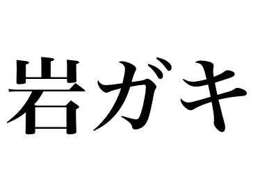 Rock oyster (Iwagaki)
