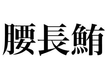 Atum-do-índico (Koshinaga maguro)