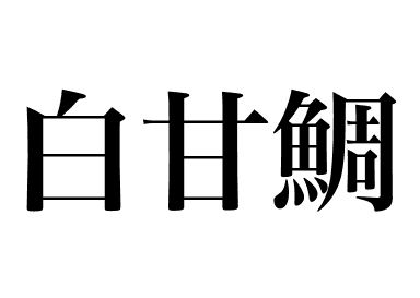 白甘鯛の握り