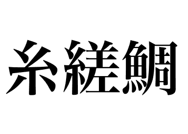 金线鱼 (Itoyoridai)