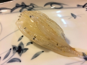 Japanese icefish (Shirauo)
