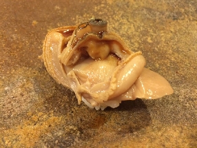 Common orient clam (Nihamaguri)