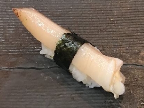 Japanese geoduck (Shiromiru)