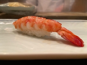 Yellowleg shrimp