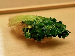 萝卜芽 (Kaiware daikon)