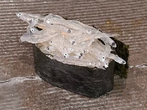 魩仔鱼 (Shirasu)