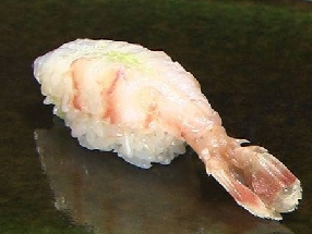 鬼蝦 (Ibaramo ebi)