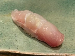 Cobia (Sugi)