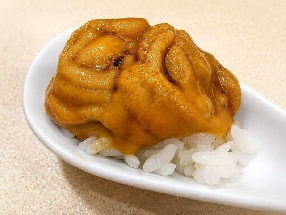 Ouriço-do-mar Shirahige (Shirahige uni)