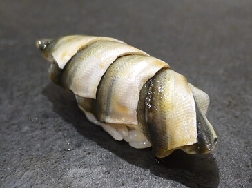 沙丁鱼幼鱼寿司的照片