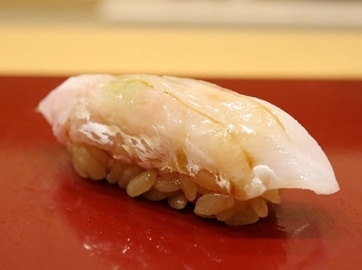 A photo of White horsehead nigiri